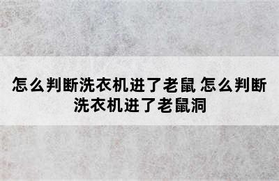 怎么判断洗衣机进了老鼠 怎么判断洗衣机进了老鼠洞